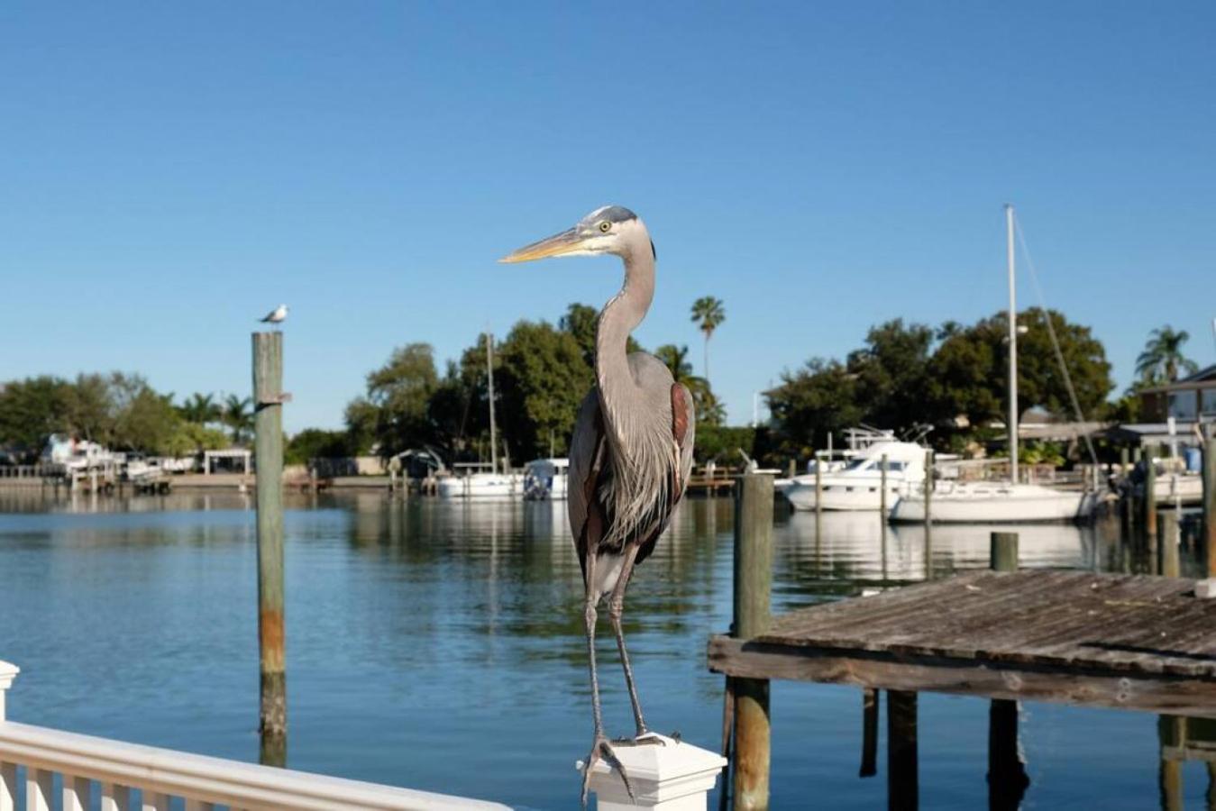 Villa Tranquility-Waterfront-Punta Gorda, Fl Exterior foto